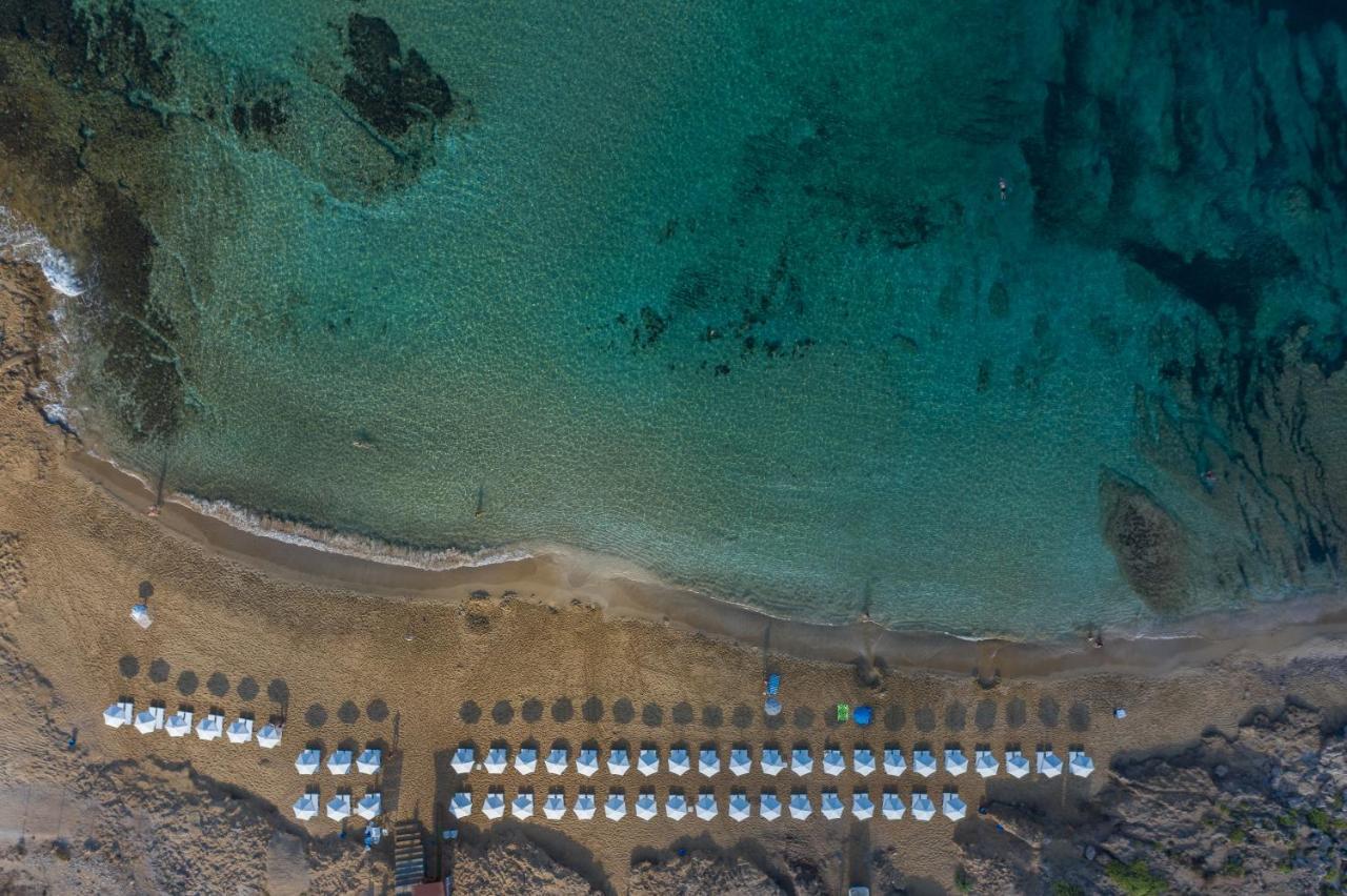 Ifestos Kings Resort Appartment Paphos Esterno foto